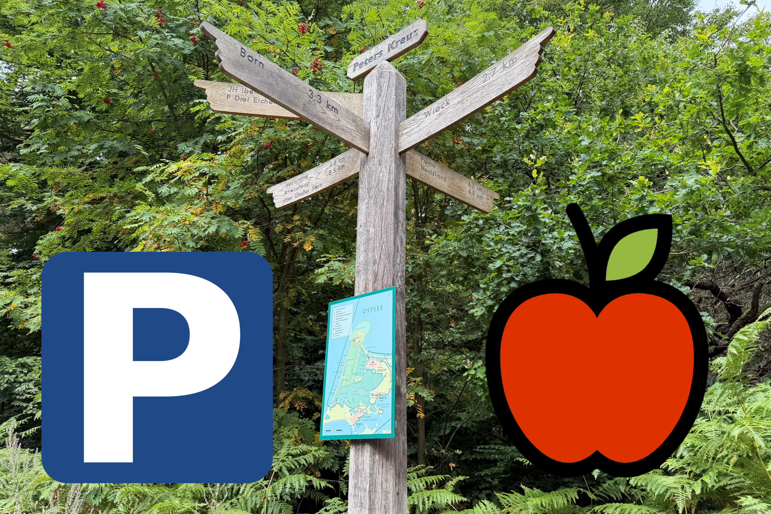 Parken und Verpflegung